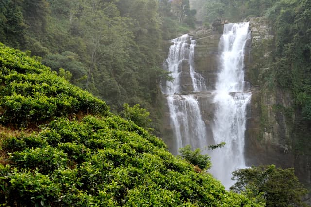 Mulanje Mountain