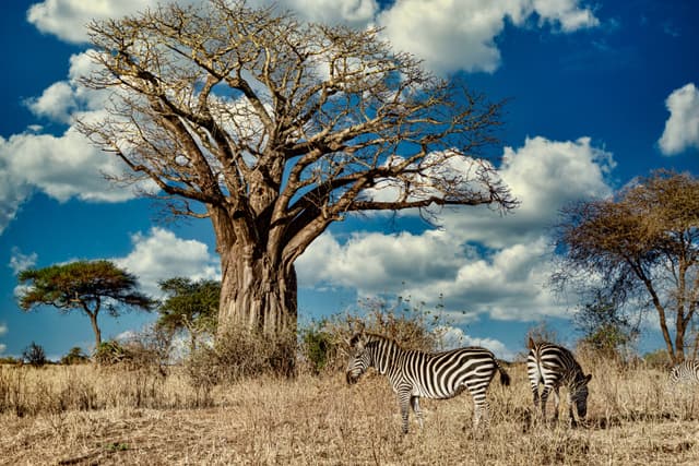 Kasungu National Park