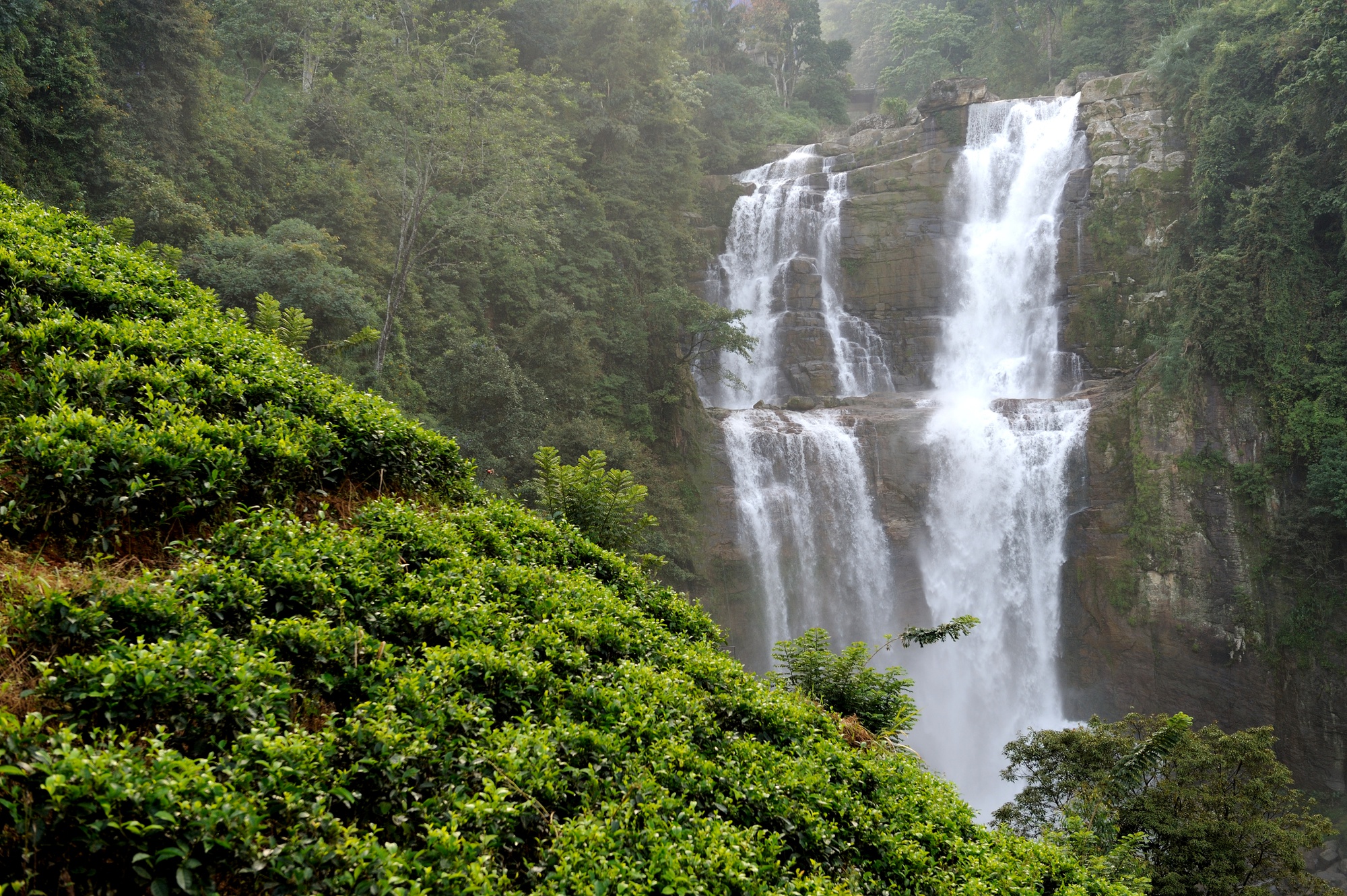 Mulanje Mountain