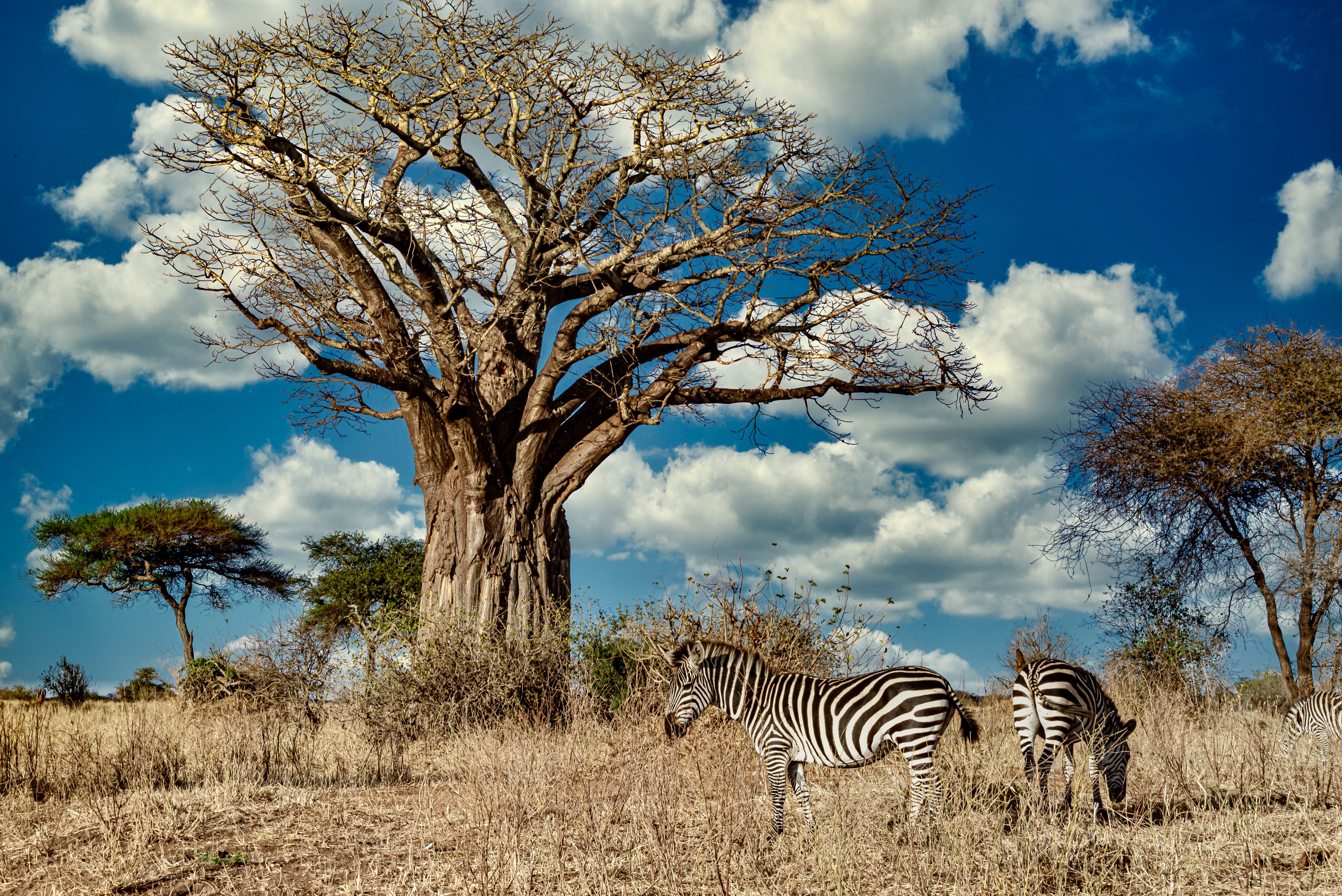 Kasungu National Park